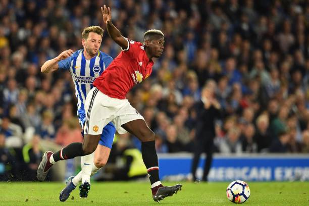 树一帜的美 树一帜的美